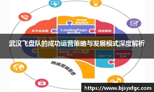 武汉飞盘队的成功运营策略与发展模式深度解析